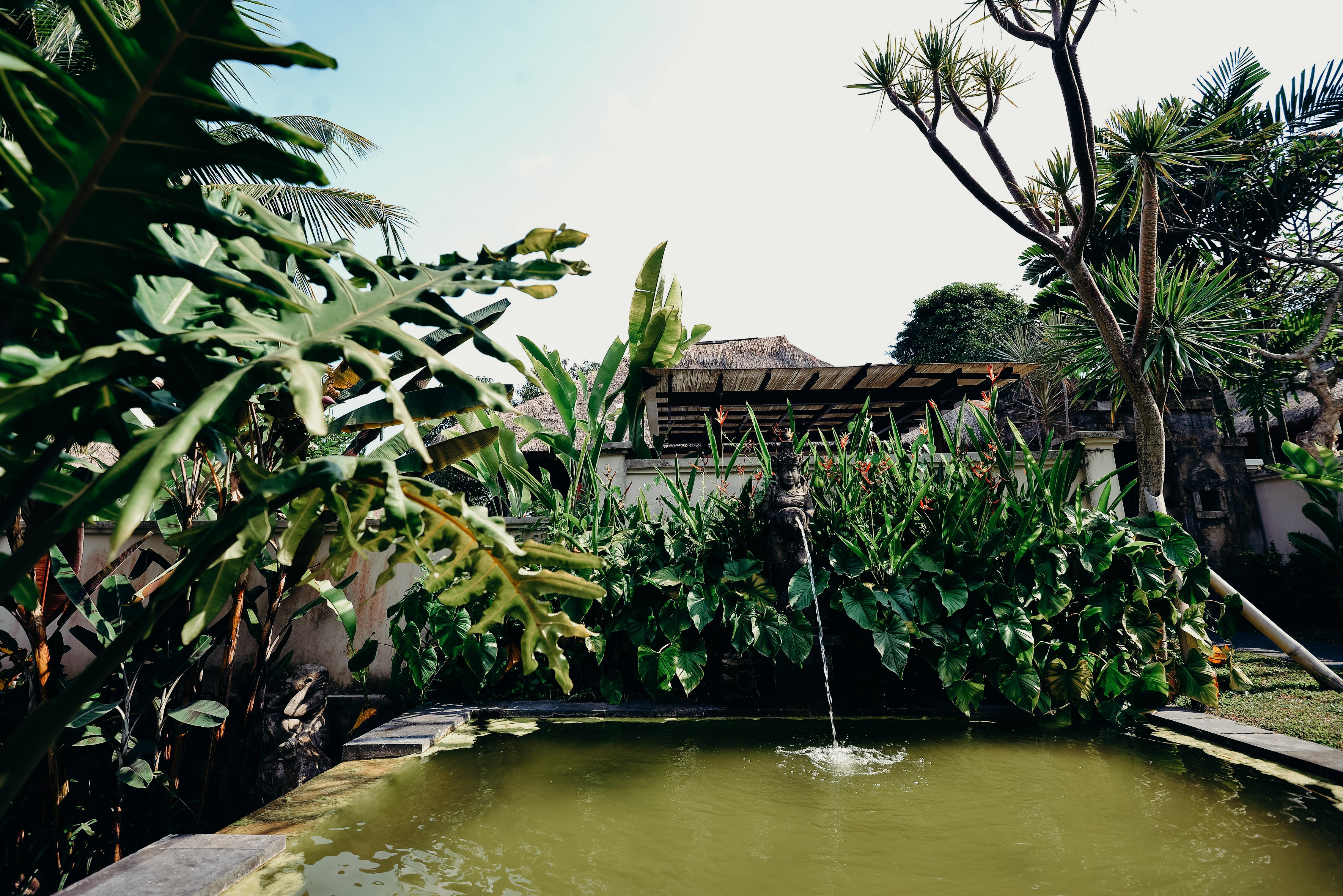 Pertiwi Resort & Spa Ubud  Bagian luar foto